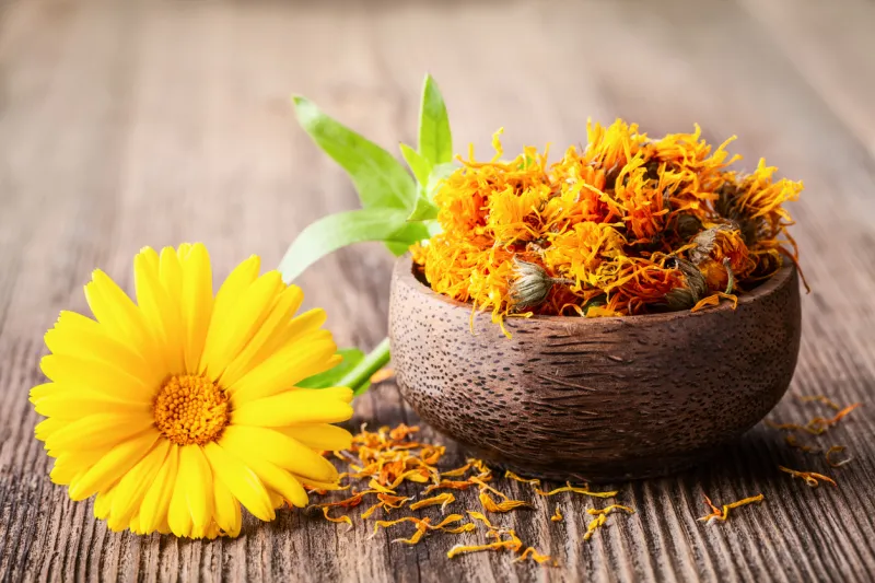 Calendula et millepertuis
