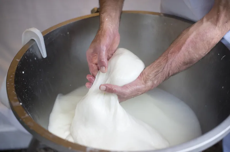 Le filage de la mozzarella