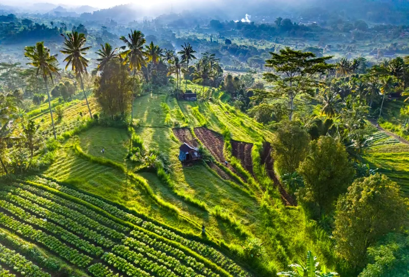 Bali