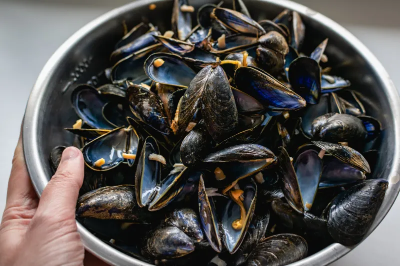 Moules d’Espagne