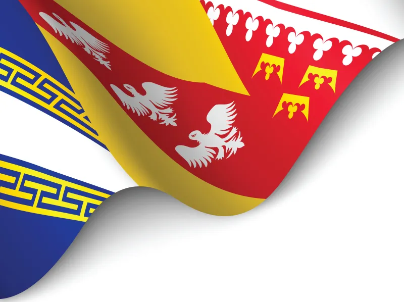 Drapeau région Grand Est