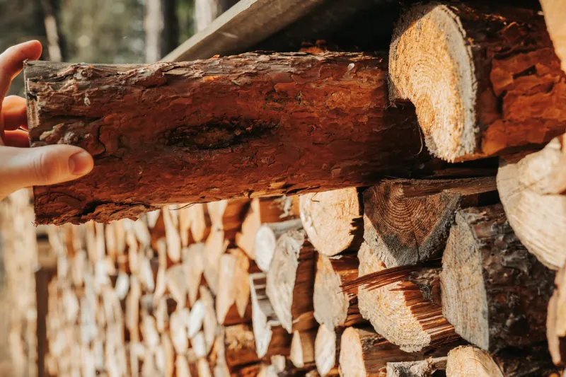 Bois de chauffage