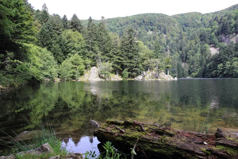 Lac Altenweiher (Haut-Rhin)
