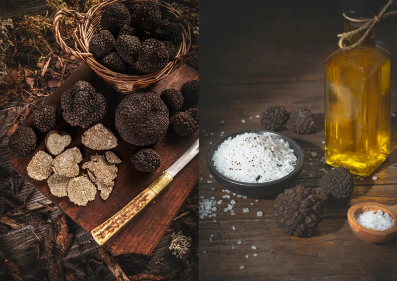 Truffe noire VS huile de truffe