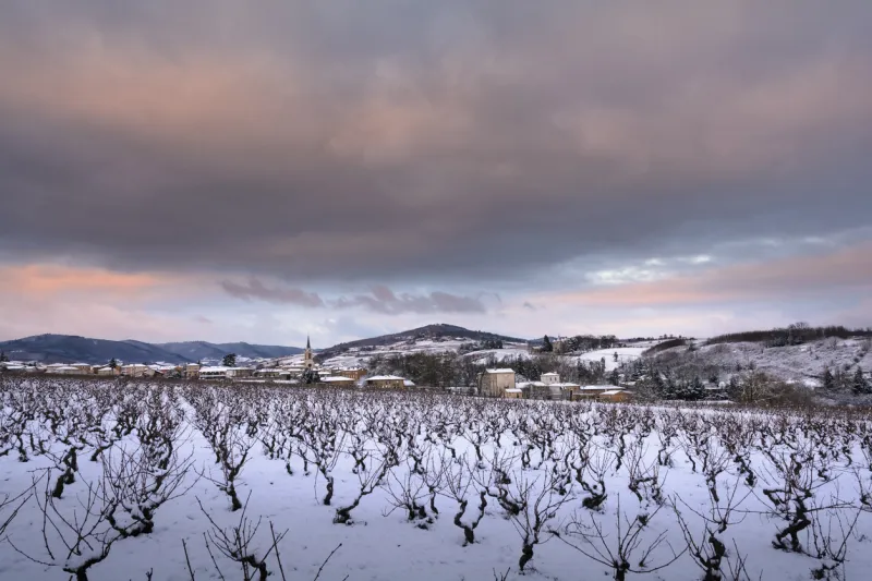 Auvergne-Rhône-Alpes