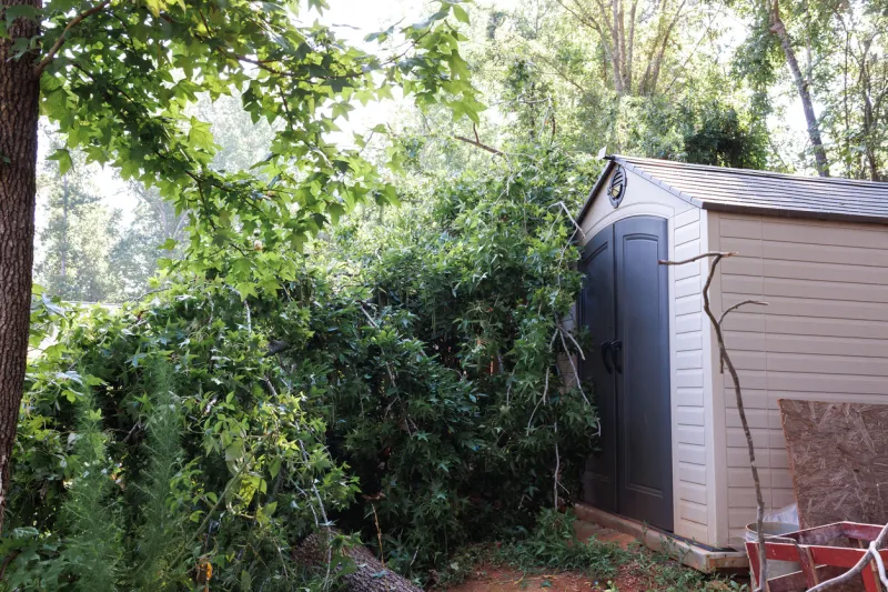 Assurance habitation