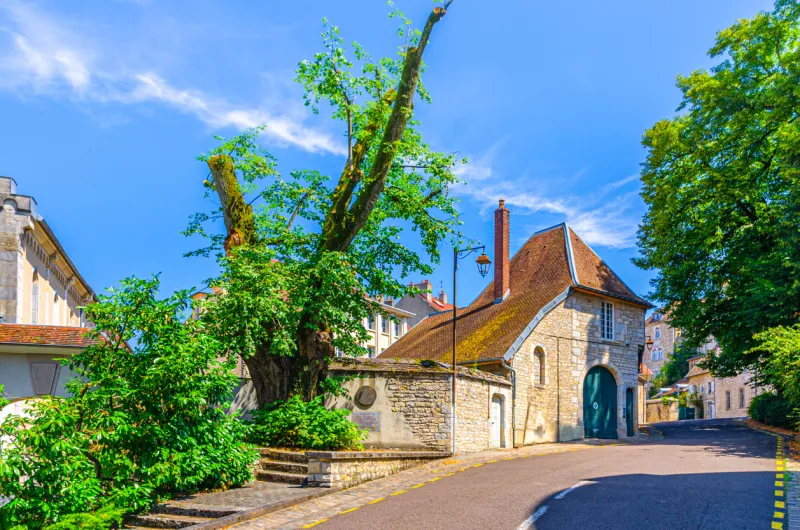 Bourgogne–Franche-Comté