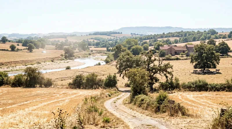 Une photo d'un paysage ensoleillé dans l'Allier sous une forte chaleur