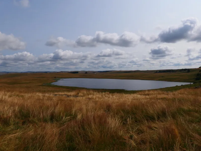 aubrac plateau, saint andeol lake (municipality of marchastel)  lozère