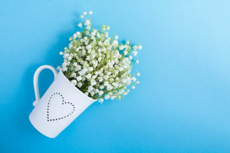 bouquet of lily of the valley in the white cup on the blue background copy space top view