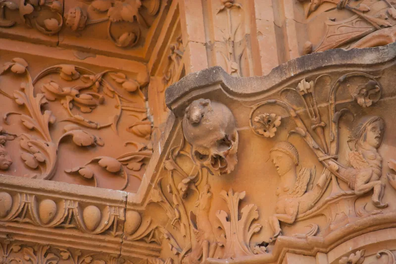 the pupil who see the frog will pass the examination