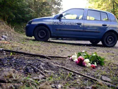 crime de la grande-bretagne tirant chevaline fichiers