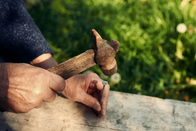closeup of mature man hands nails with old hammer an old weathered wooden plank outdoors against green grass background, cropped image
