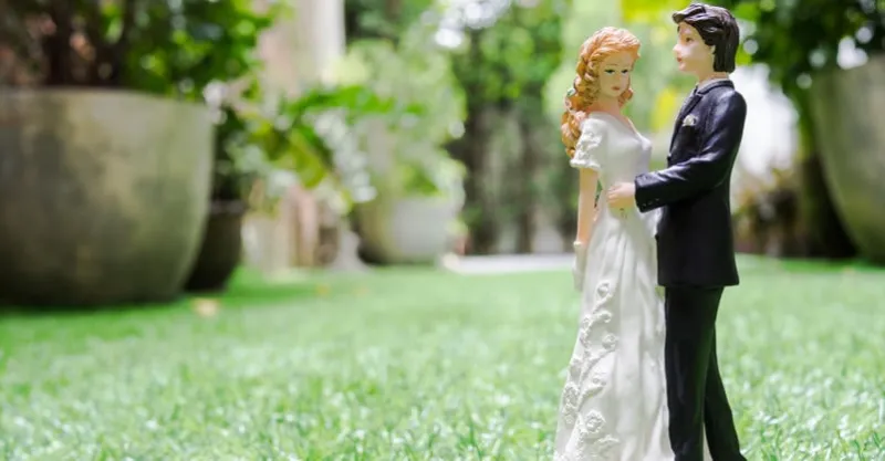 wedding dolls on green grass