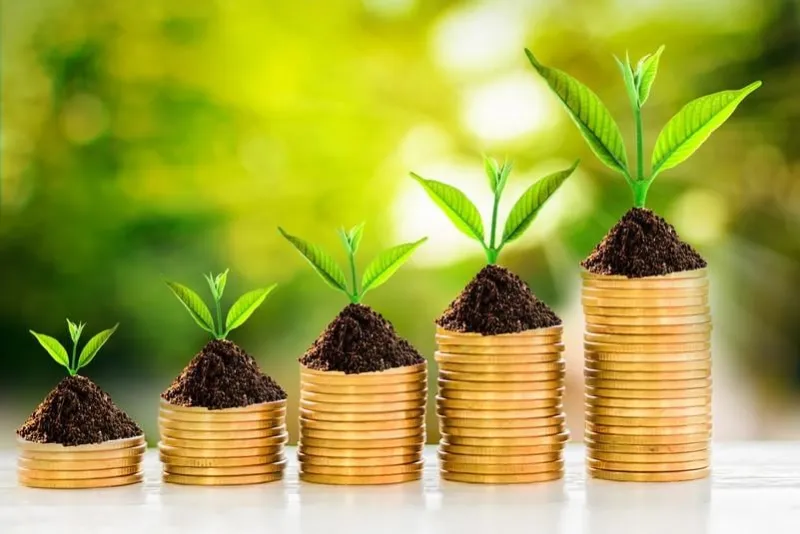 gold coins and plant with green bokeh light in saving money concept