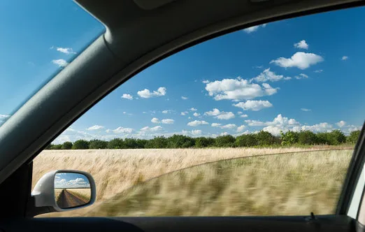 view from car window on wheat field