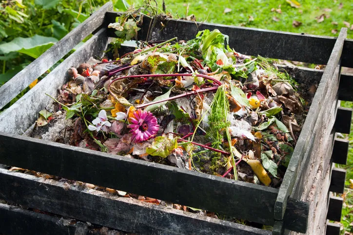 compost bin in the garden