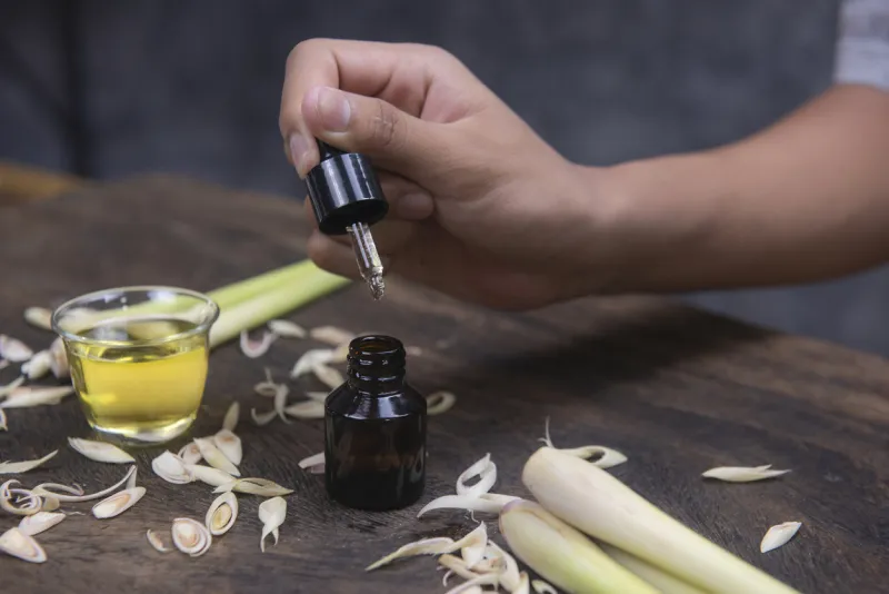 lemongrass oil is a plant that is used as a food and medicine by extracting in the form of water and the smell of the leaves can also be mosquitoes
