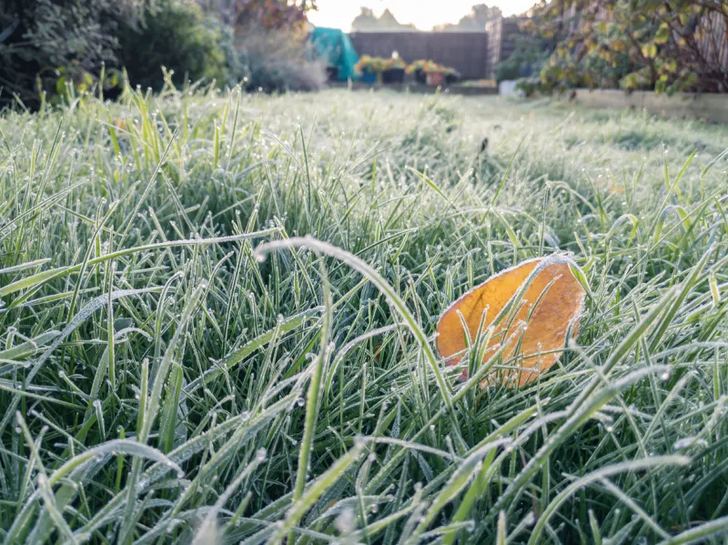 frosty early morning in the garden, frost on the grass and fallen leaves