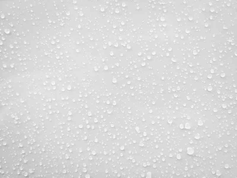 water drops on white surface background