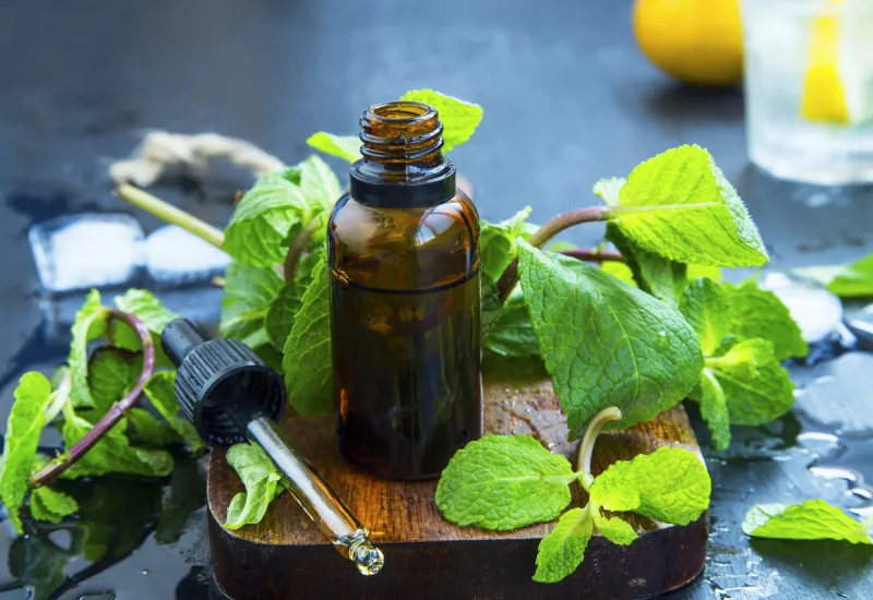 mint essential oil in bottle fresh peppermint leaves with essential oil, alternative medicine