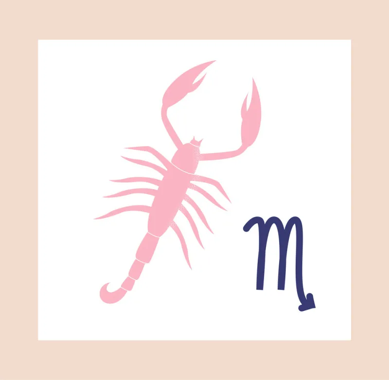 zodiac sign concept scorpio minimalistic poster with poisonous arthropod or scorpion and esoteric symbol astrological horoscope by stars cartoon modern flat vector illustration with pink frame