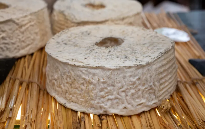 cheese collection, french cheese rouelle du tarn made from raw goat milk in region tarn in france close up