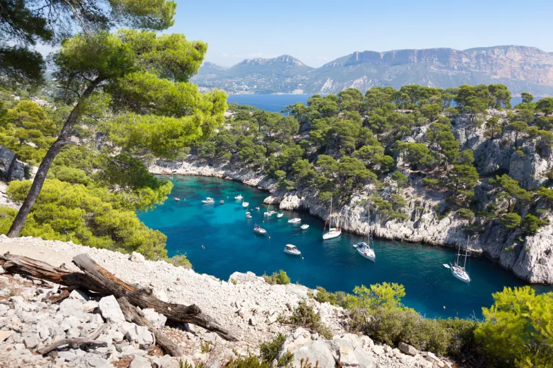 calanques of port pin in cassis in france