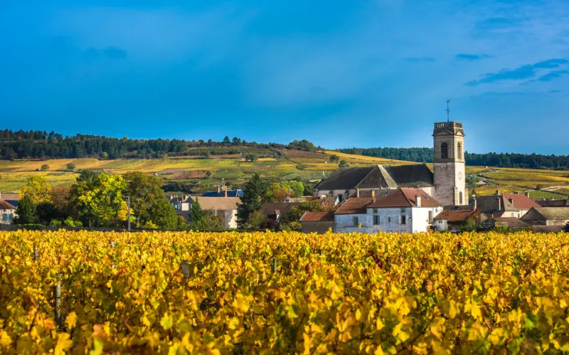 chateau with vineyards in the autumn season, burgundy, france
