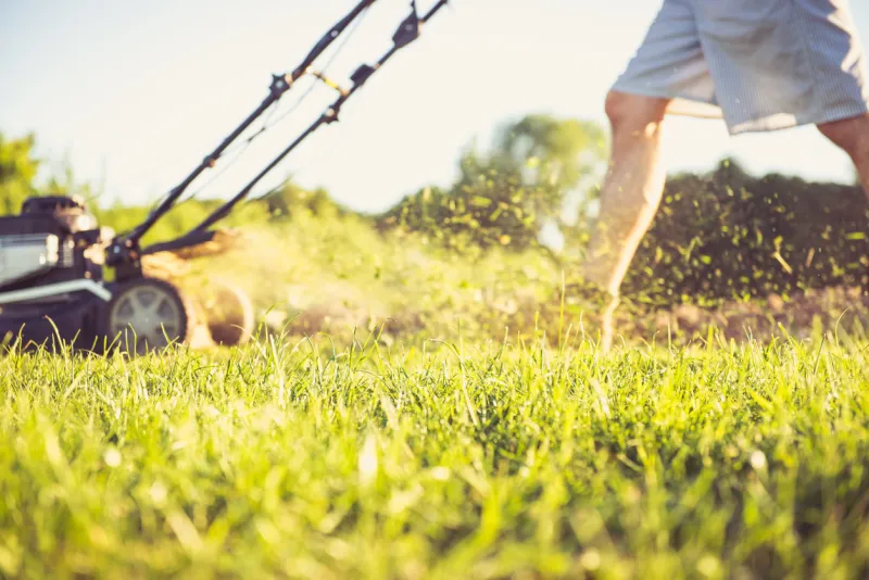 photo of a young man mowing the grass during the beautiful evening