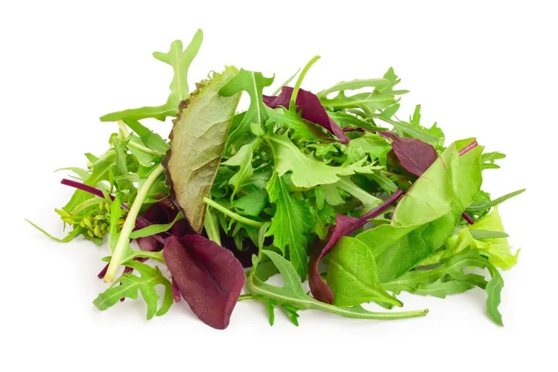 mix of different salads isolated on white background