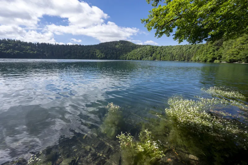 volcanic lake of pavin in the mountain landscape of the parc regional des volcans d'auvergne in the puy de dôme department