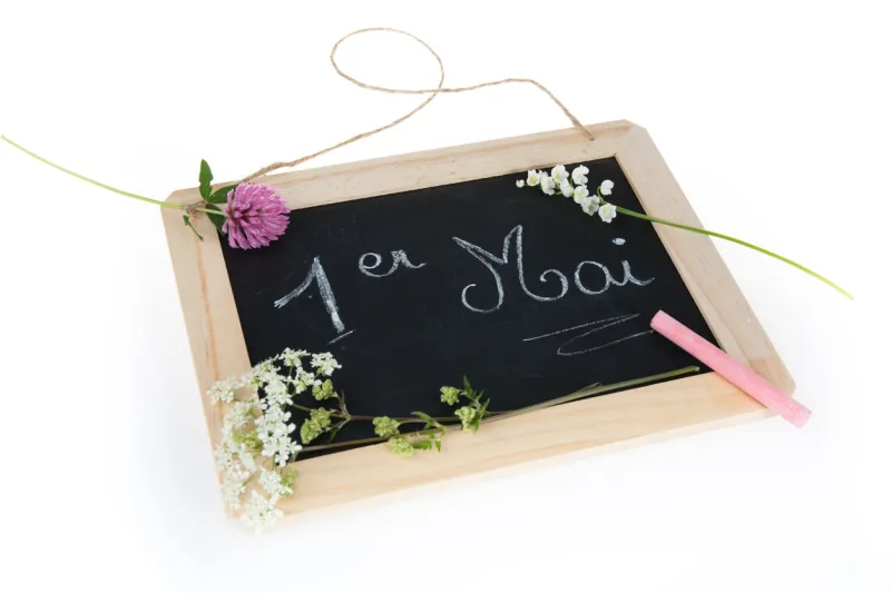 may day, may 1 with the lily of the valley ( muguet )