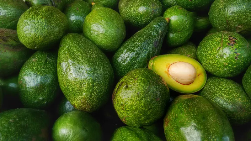 pile of green avocados one of them is opened that the stone and the pulp are visible