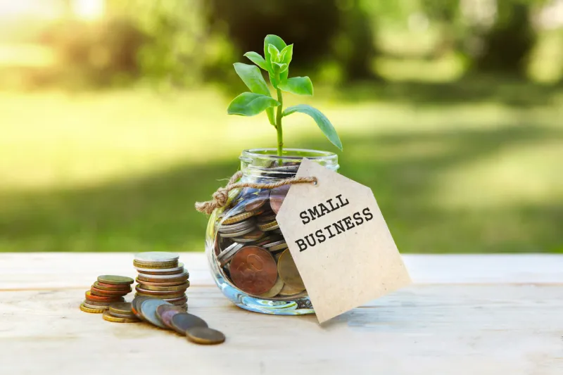 small business glass jar with coins and a plant in it, with a label on the jar and a few coins on a wooden table, natural background finance and investment concept