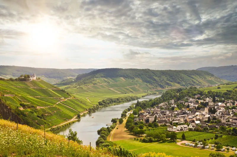 view to river moselle and marienburg castle near village puenderich - mosel wine region in germany