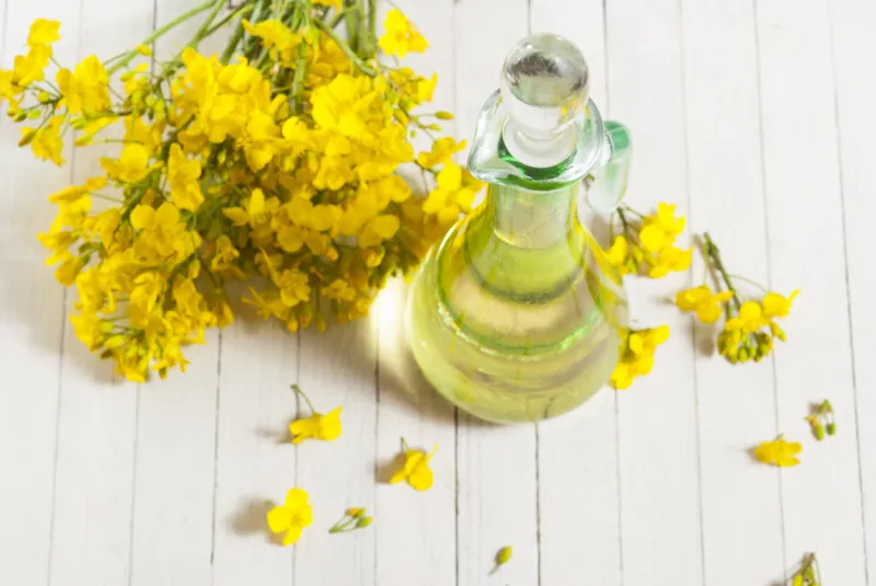 rapeseed oil with rape flowers