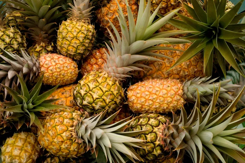 fresh pineapples as a background