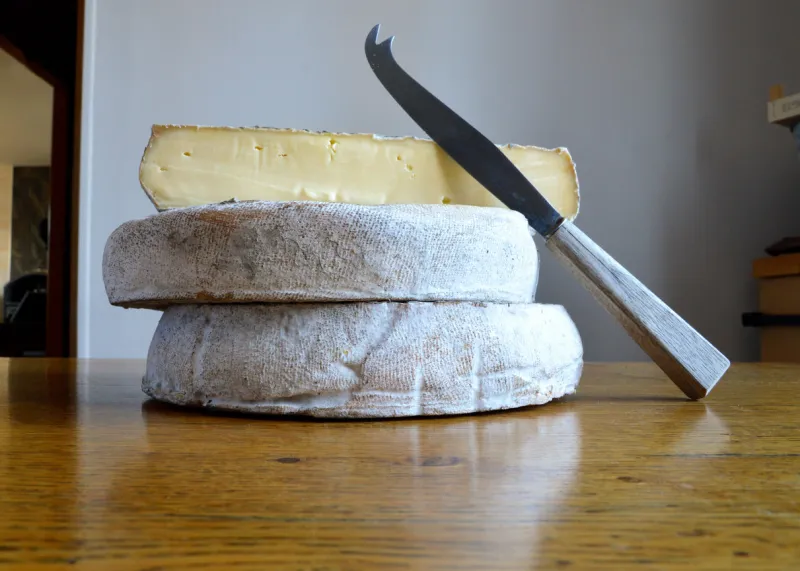 auvergne cheese, saint nectaire, this is mountain cheese