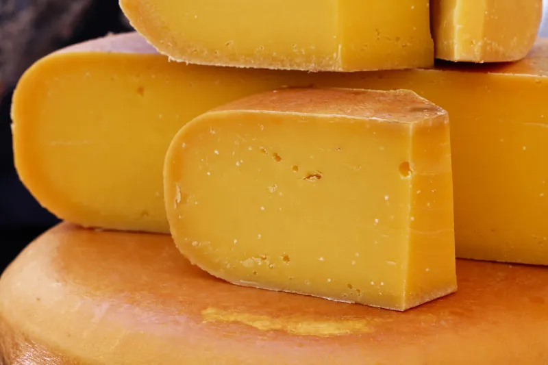 close up cut slices and wheel of hard matured yellow gouda dutch cheese, low angle view
