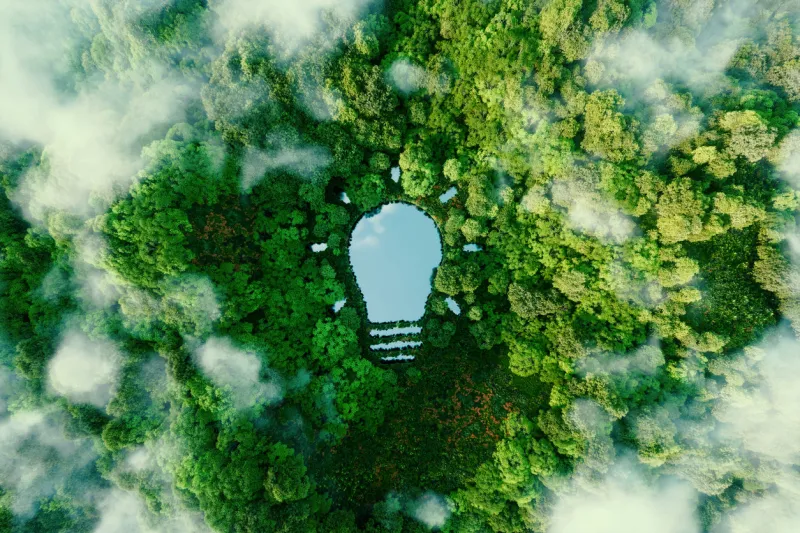 a bulb-shaped lake in the middle of a lush forest, symbolizing fresh ideas, inventiveness and creativity in relation to solving environmental problems 3d rendering