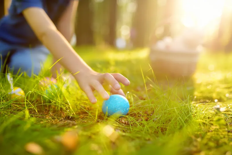 little boy hunting for egg in spring garden on easter day traditional festival outdoors child celebrate easter holiday focus on multicolor eggs