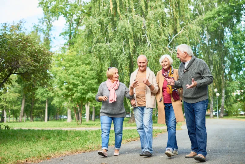 joyful group of senior friends wearing warm clothes walking along park alley and chatting animatedly with each other, picturesque view on background