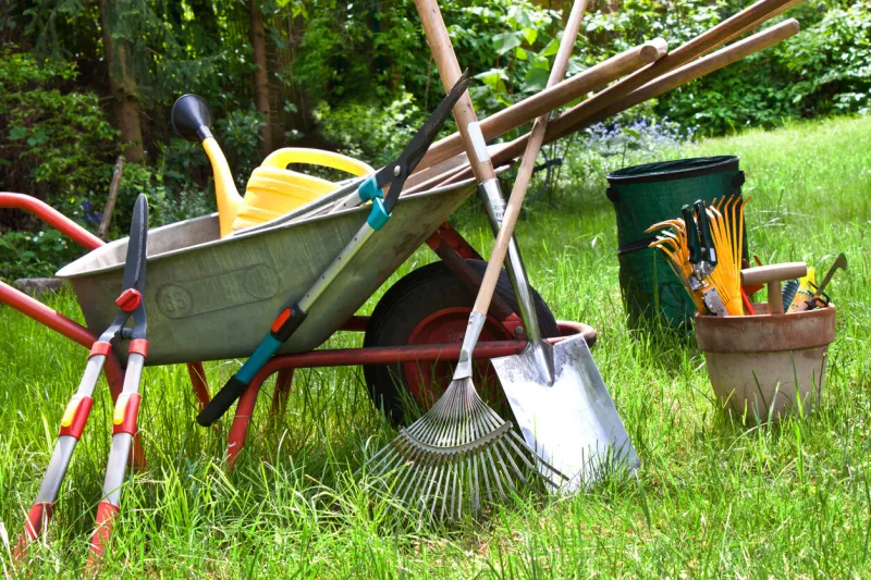 various gardening tools in the garden background