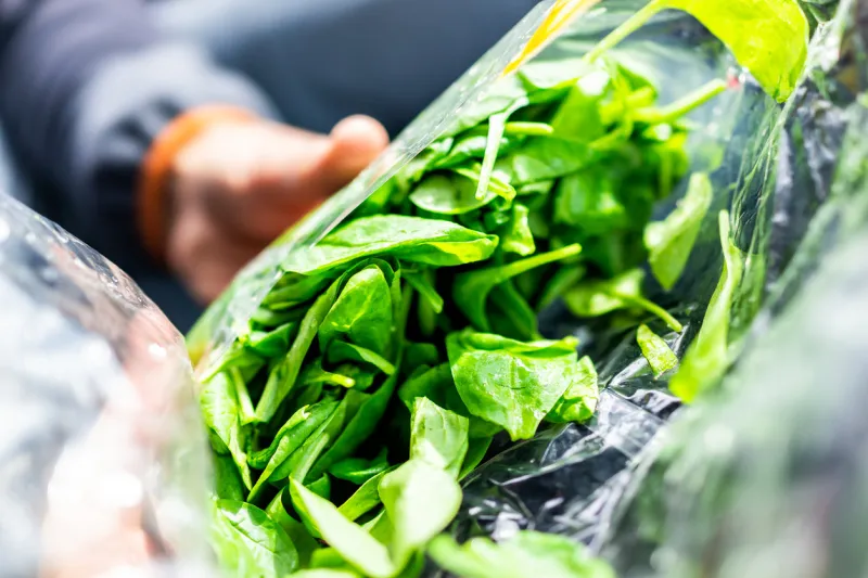 closeup of person hands holding fresh raw, plastic packaged bag of green spinach, vibrant color, healthy salad