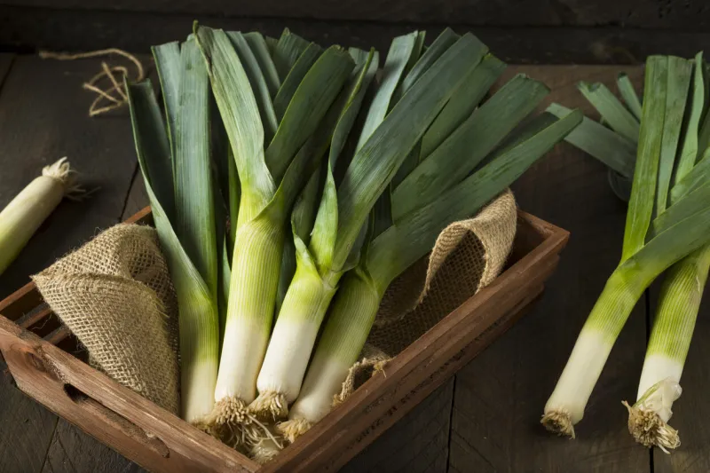 raw green organic leeks ready to chop
