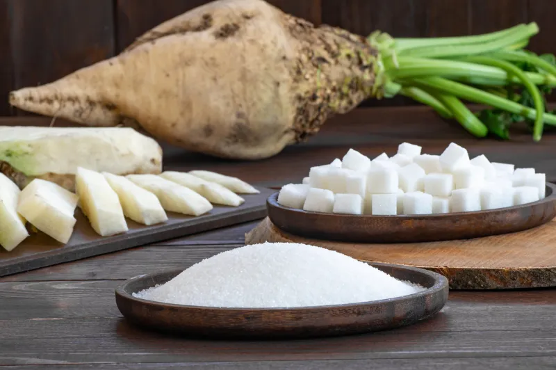 granulated and cube sugar in bowl with fresh raw sugar beetroot on wooden table, beta vulgaris