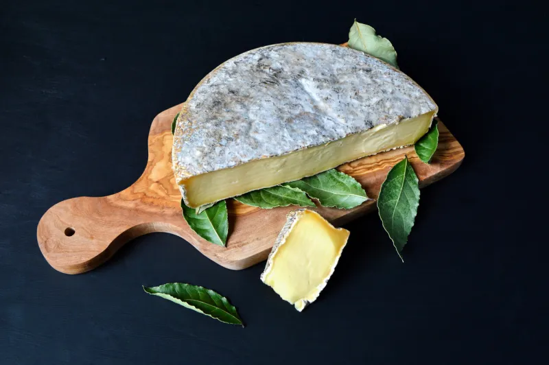 saint nectaire cheese with bay leaf on a cutting board it is an auvergne cheese and a mountain cheese made with cow’s milk