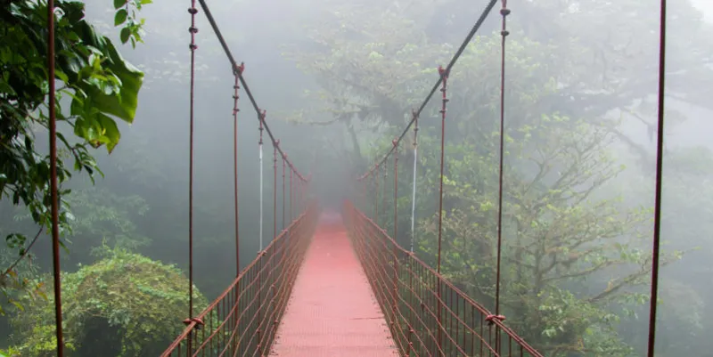 hanging bridge in one of the paths of monteverde cloud forest biological reserve