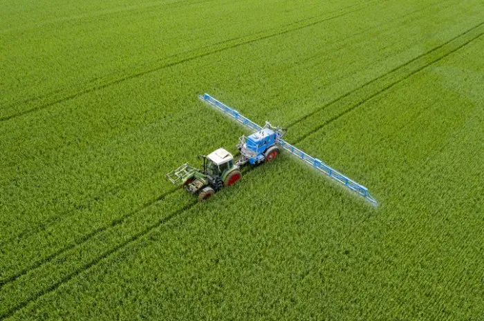 aerial view of agricultural tractor spraying wheat field